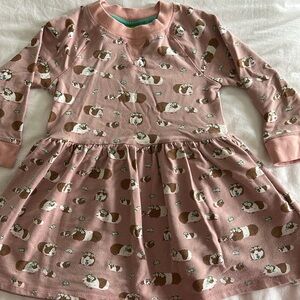 Guinea Pig Boden sweater dress size 5-6